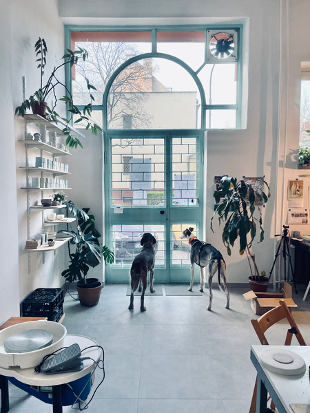 Zdjęcie na okładce dla La Loba Design Lab - pracownia ceramiczna